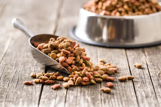 Stainless Steel Feeding Bowl