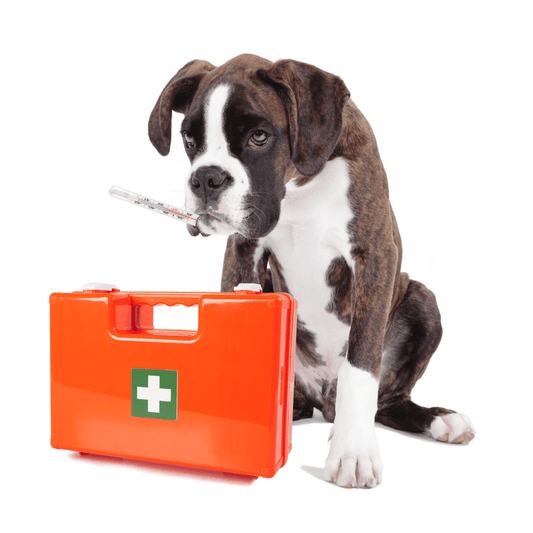 Animal First Aid Care Kit