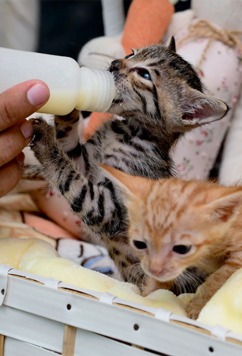 Untitled design (94)