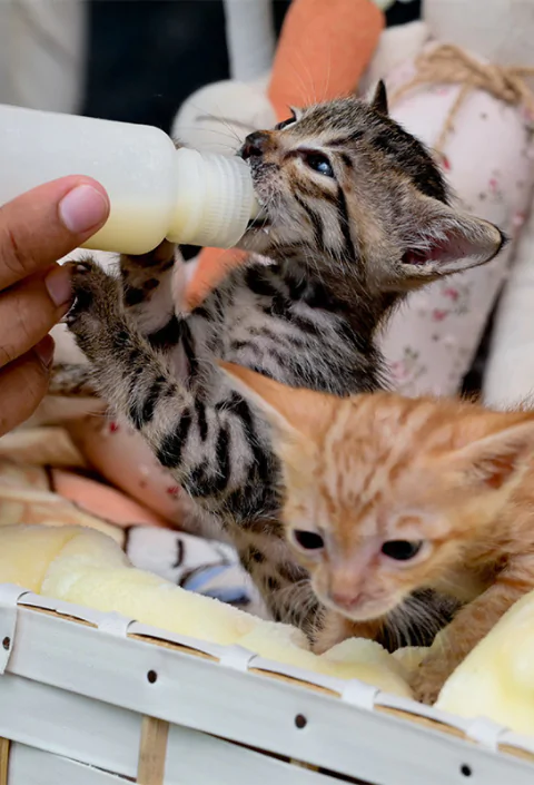 Untitled design (94)