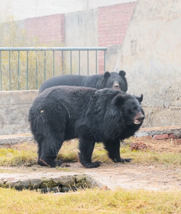 WhatsApp Image 2026-04-14 at 3.54.35 PM