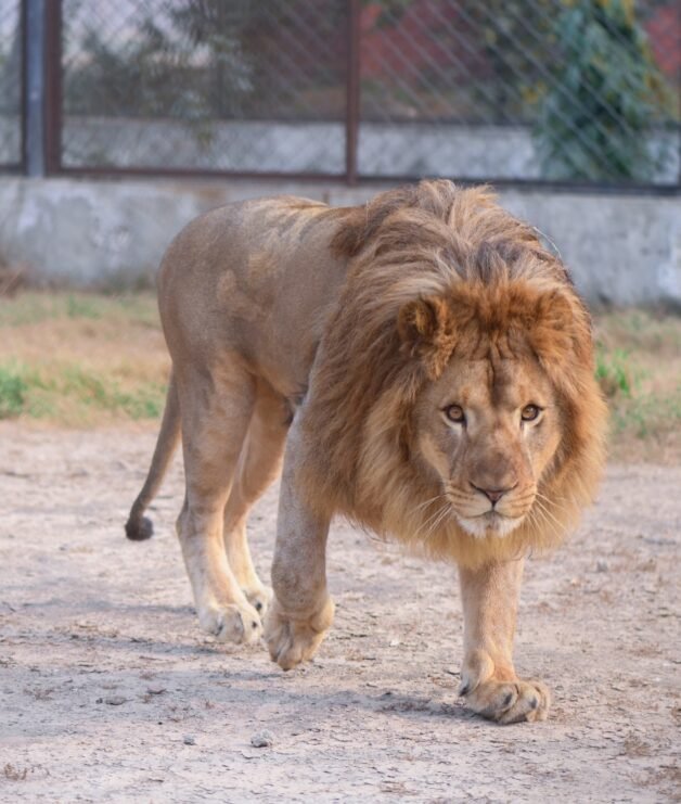 WhatsApp Image 2026-04-14 at 3.54.37 PM