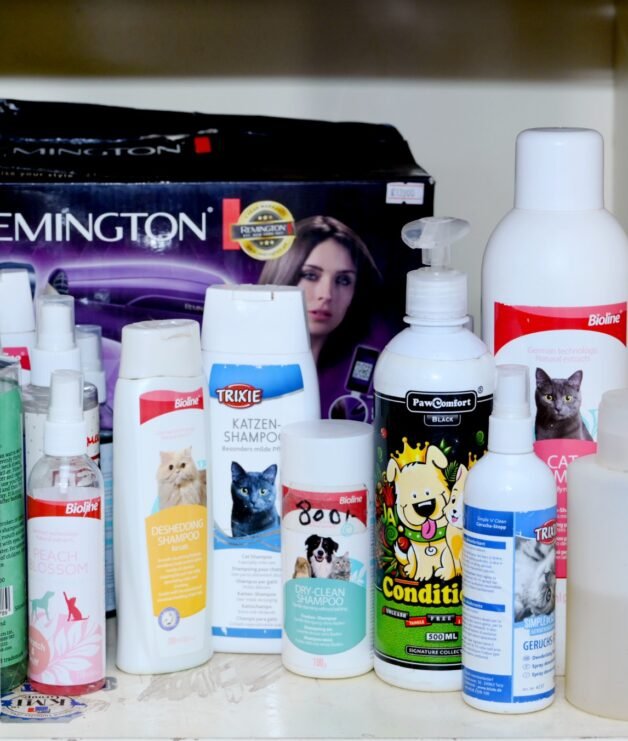 WhatsApp Image 2026-04-14 at 3.54.49 PM