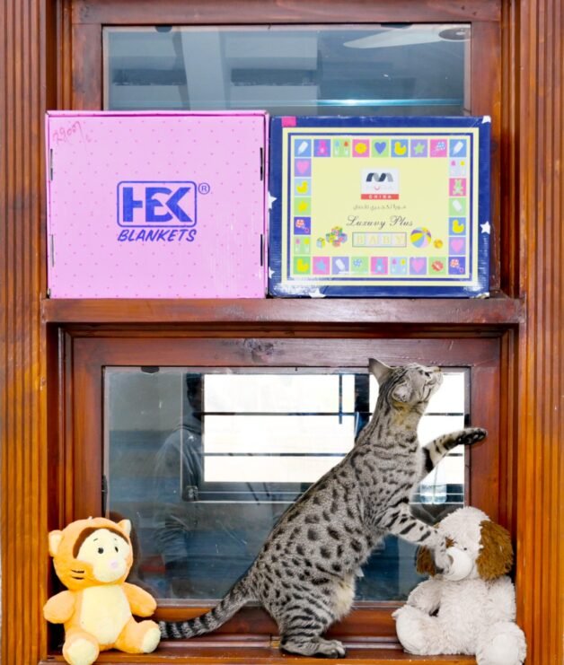 WhatsApp Image 2026-04-14 at 3.54.50 PM (1)