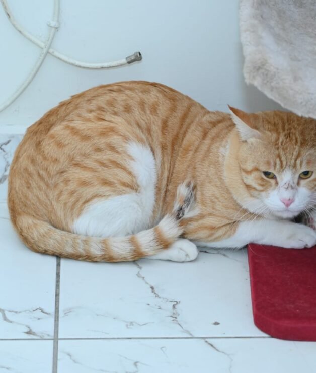 WhatsApp Image 2026-04-14 at 3.54.52 PM (1)