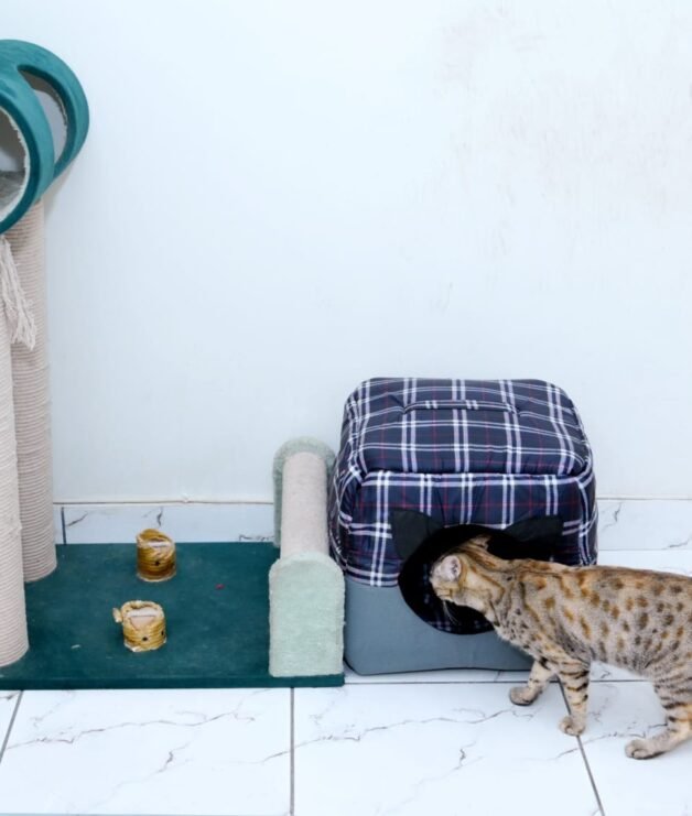 WhatsApp Image 2026-04-14 at 3.54.54 PM